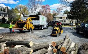 East Dubuque, IL  Tree Services Company